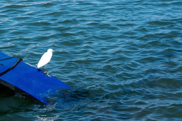 Maigrir avec le HIIT : Tout savoir sur cet entraînement efficace